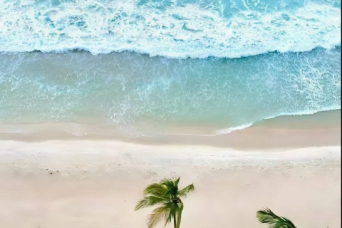 Full Day Bahía de Cata