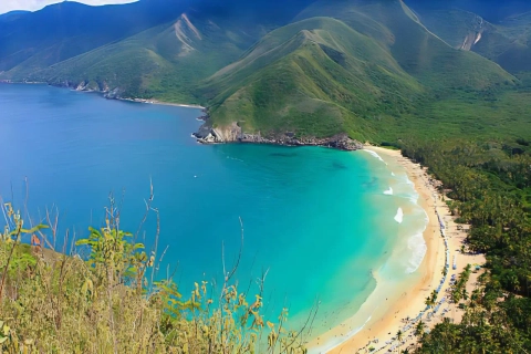 Tour Choroní + Playa Grande