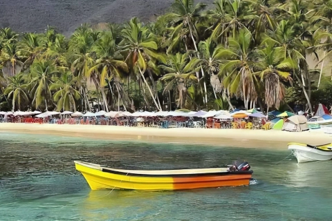 Full Day Bahía de Cata