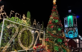Tour Colonia Tovar – Encendido Navideño (Tarde/Noche)