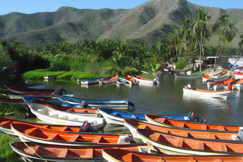 Tour Choroní + Playa Grande