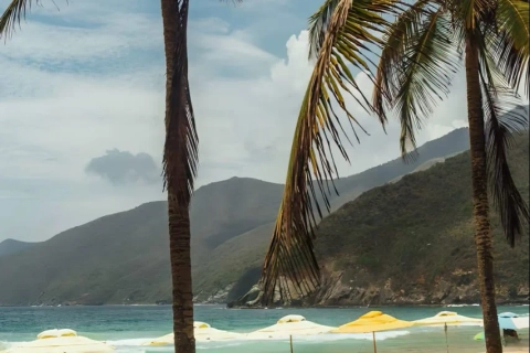 Tour Choroní + Playa Grande