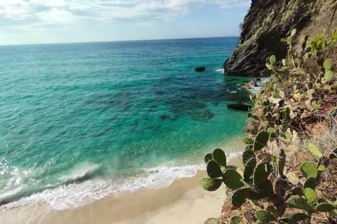 Tour Choroní + Cepe + Puerto Escondido