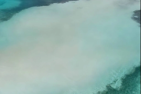 Full Day Cayo Azul + Bajo 360