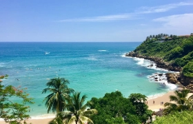 Tour Choroní + Cepe + Puerto Escondido