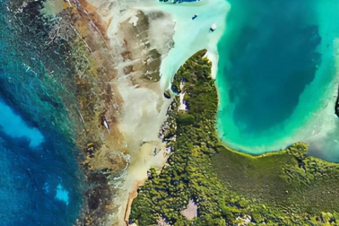 Full Day Cayo Azul + Bajo 360